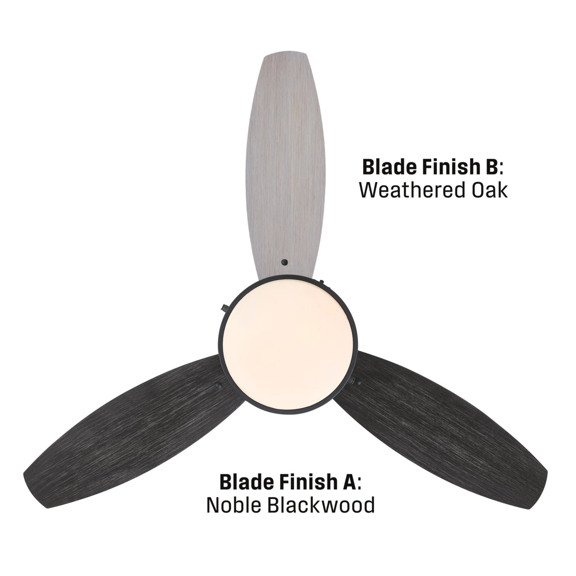 Westinghouse Lighting Alloy 42-Inch Indoor/Outdoor 3-Blade Matte Black Ceiling Fan, LED Light Fixture with Opal Frosted Glass