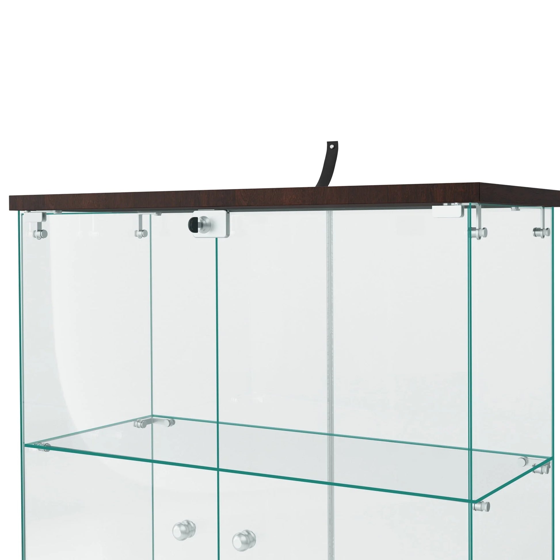 NeuType Glass Display Cabinet Bookcase Glass Frame Bookshelf Brown Double door 64.5"x32"x14.4"