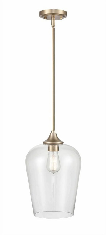 Millennium Lighting Ashford 1 Light Mini-Pendant in Multiple Finishes with a Clear Glass Shade Matte Black Matte N/A