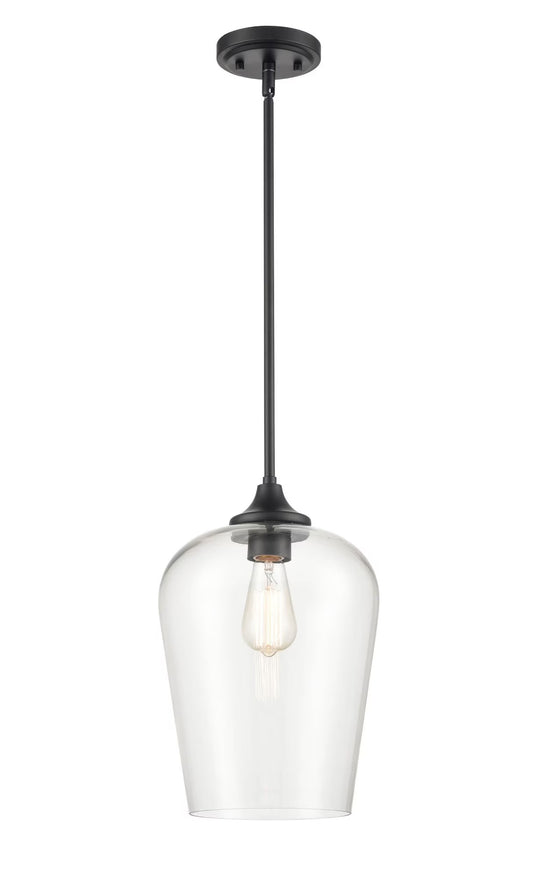 Millennium Lighting Ashford 1 Light Mini-Pendant in Multiple Finishes with a Clear Glass Shade Matte Black Matte N/A