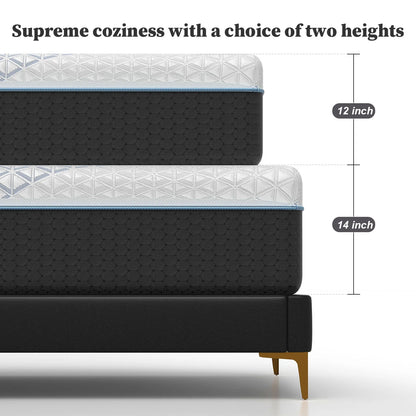 12 Inch Queen Green Tea Memory Foam Mattress for Cool Sleep & Pressure Relief, Bed in a Box, Removable Cover No Fiberglass, CertiPUR-US Certified
