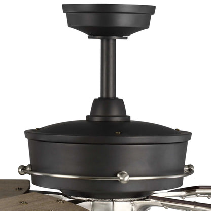 Teasley 56" Five-Blade Ceiling Fan With Glass Shades