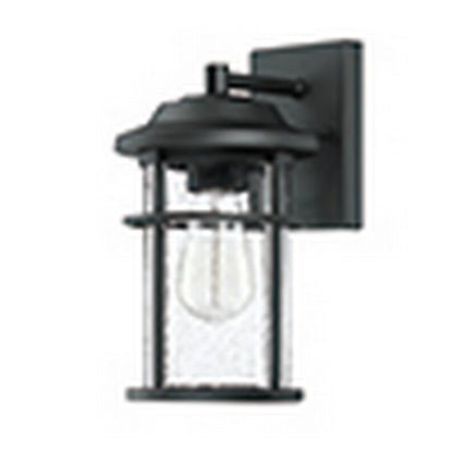 Dark Bronze Outdoor Light Fixture Wall Mount for Porch, House, Doorway, Hallway, Exterior with Seeded Glass Shade