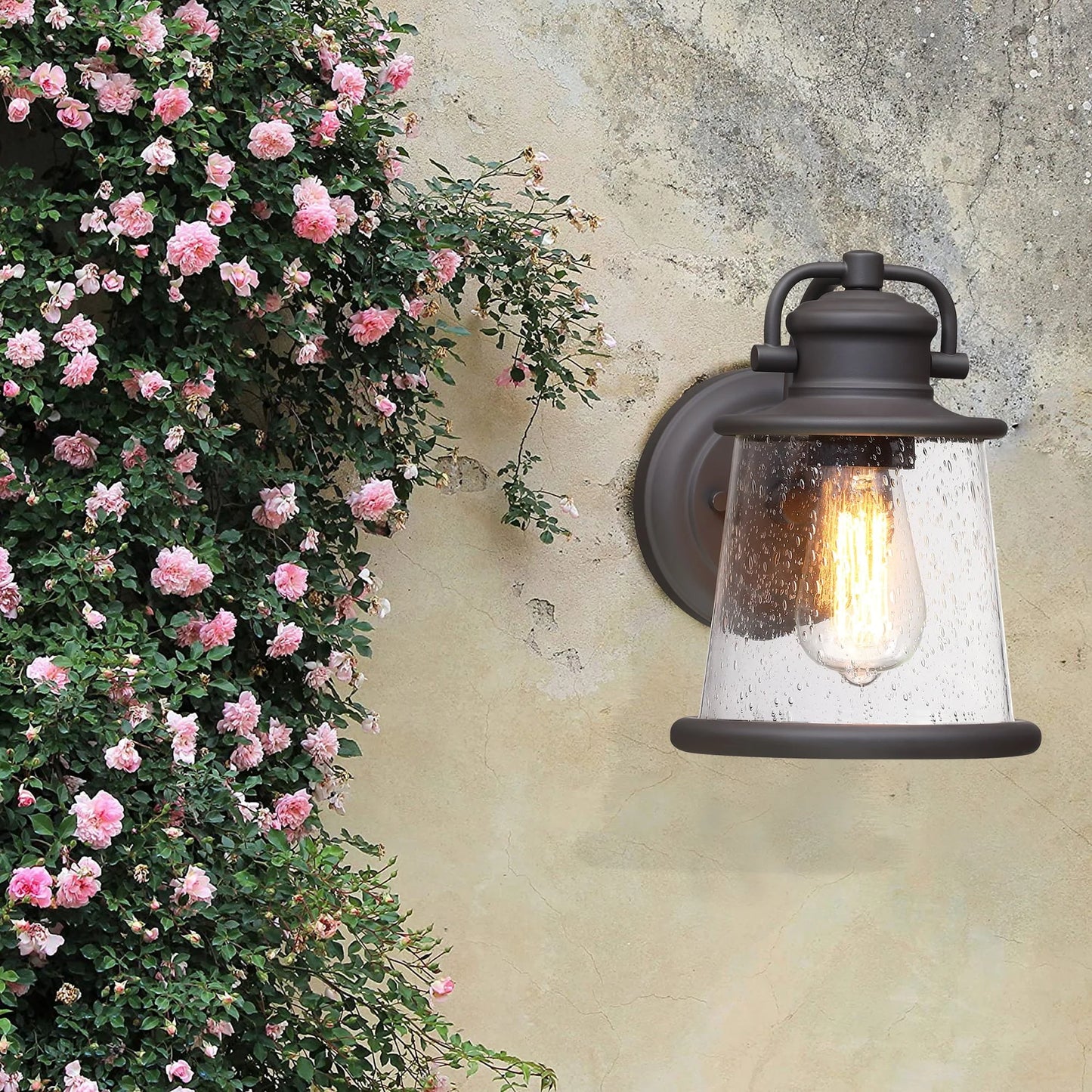 Dark Bronze Outdoor Light Fixture Wall Mount for Porch, House, Doorway, Hallway, Exterior with Seeded Glass Shade