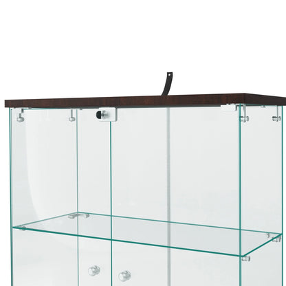 NeuType Glass Display Cabinet Bookcase Glass Frame Bookshelf Brown Double door 64.5"x32"x14.4"