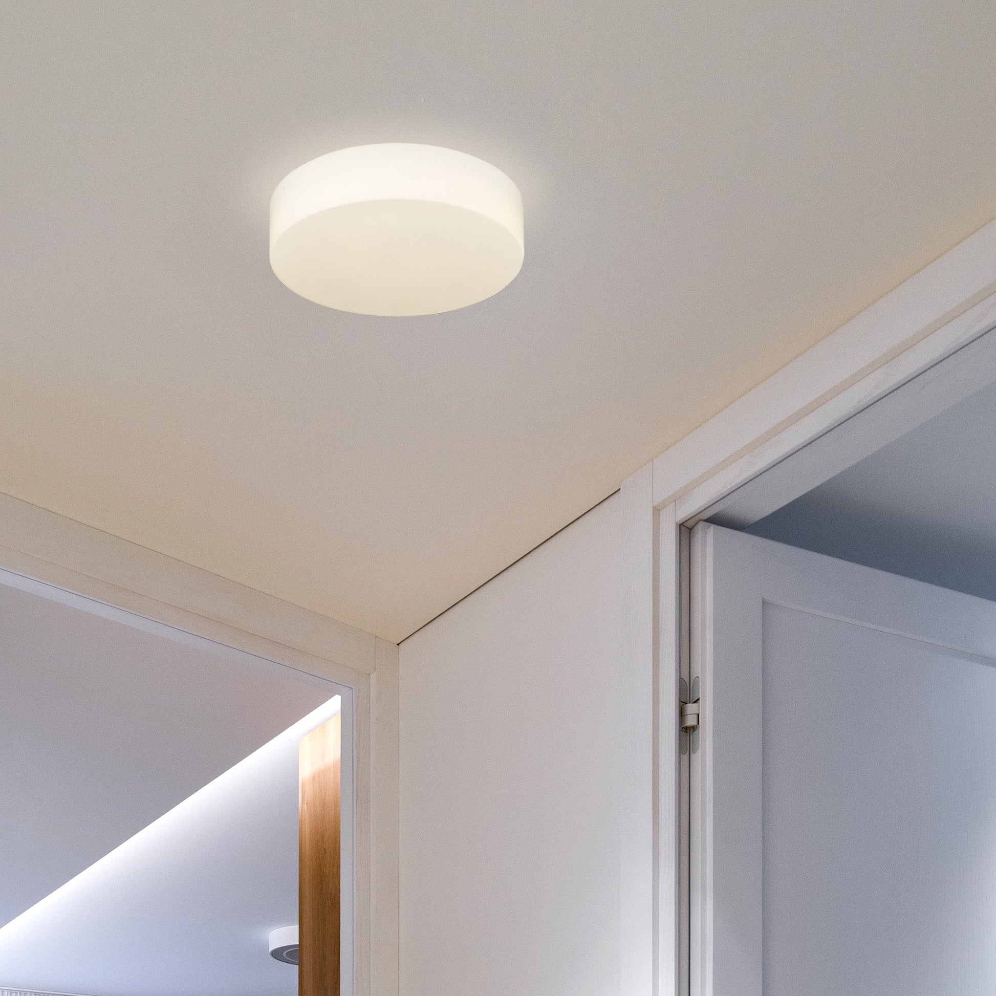 Toli LED Flush Mount in Matte Black and Opal Glass