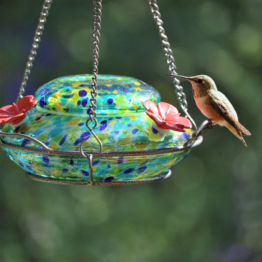 Wild Wings Artisan Glass Solar-Powered Illuminated Top Fill Hummingbird Feeder 16 oz, Blue Spring Rain